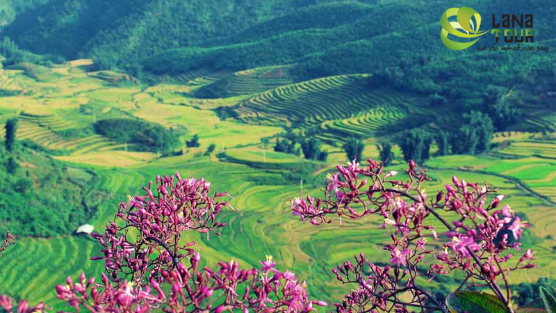 Dien Bien Phu